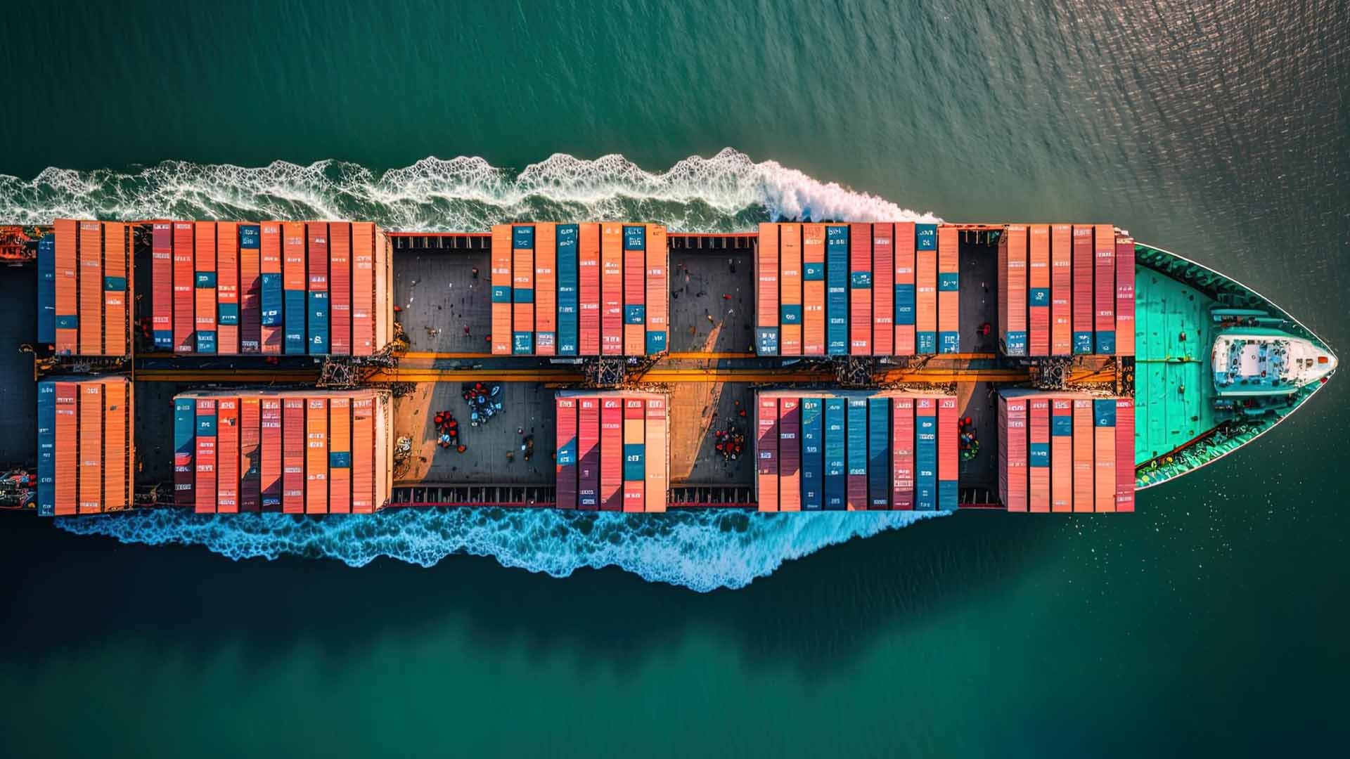 OUR SEA FREIGHT SERVICES INCLUDE